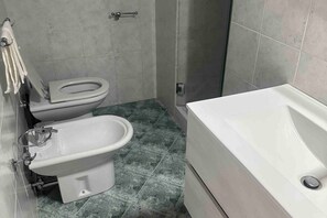 Shower, hair dryer, bidet, towels