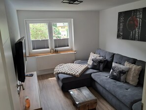 Fernseher