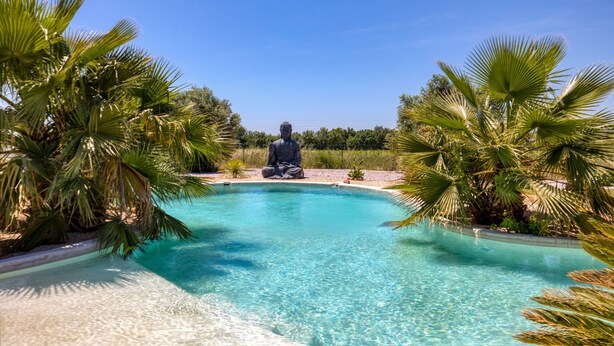 A clear pool with a statue in the center, surrounded by palm trees. - Gîte l'écluse - Domaine La Noria Holiday Homes (Cazouls-lès-Béziers)