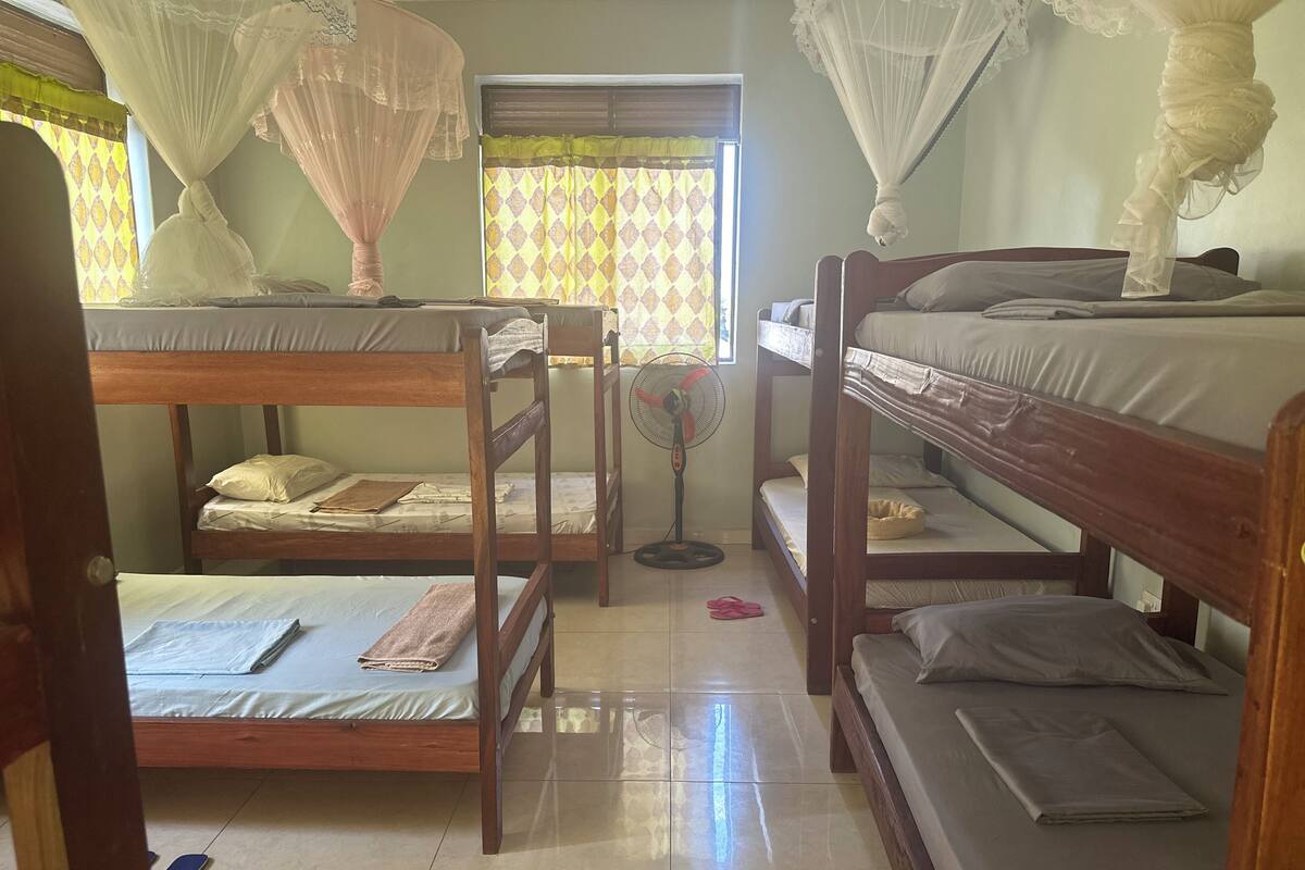 A room with bunk beds, a standing fan, and a window with curtains.