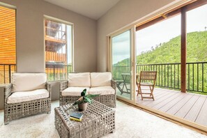 TV, fireplace, DVD player