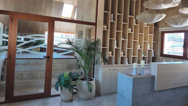 A modern reception area with a wooden reception desk, potted plants, and a wall of built-in shelves. - Empire Hotel Buenos Aires (Buenos Aires)