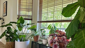 A room with large windows, a white potted plant, a wooden floor, and a black console table. - Stay between Glacier and Whitefish-cozy stylish (Columbia Falls)