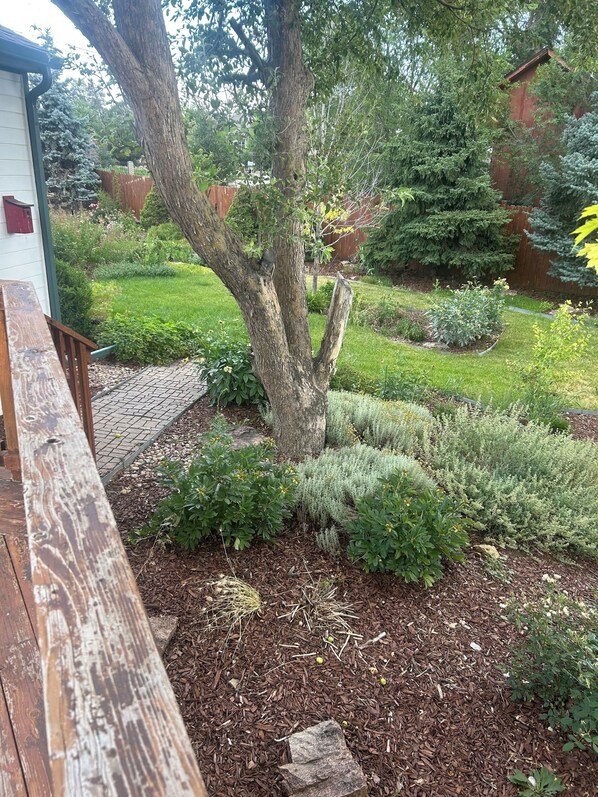 Terrain de l’hébergement 