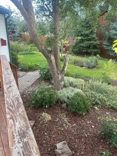 Brilliant 4-bedroom house with AC in Arvada! Family and Pet friendly,