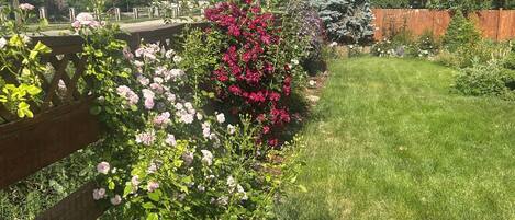 Jardines del alojamiento