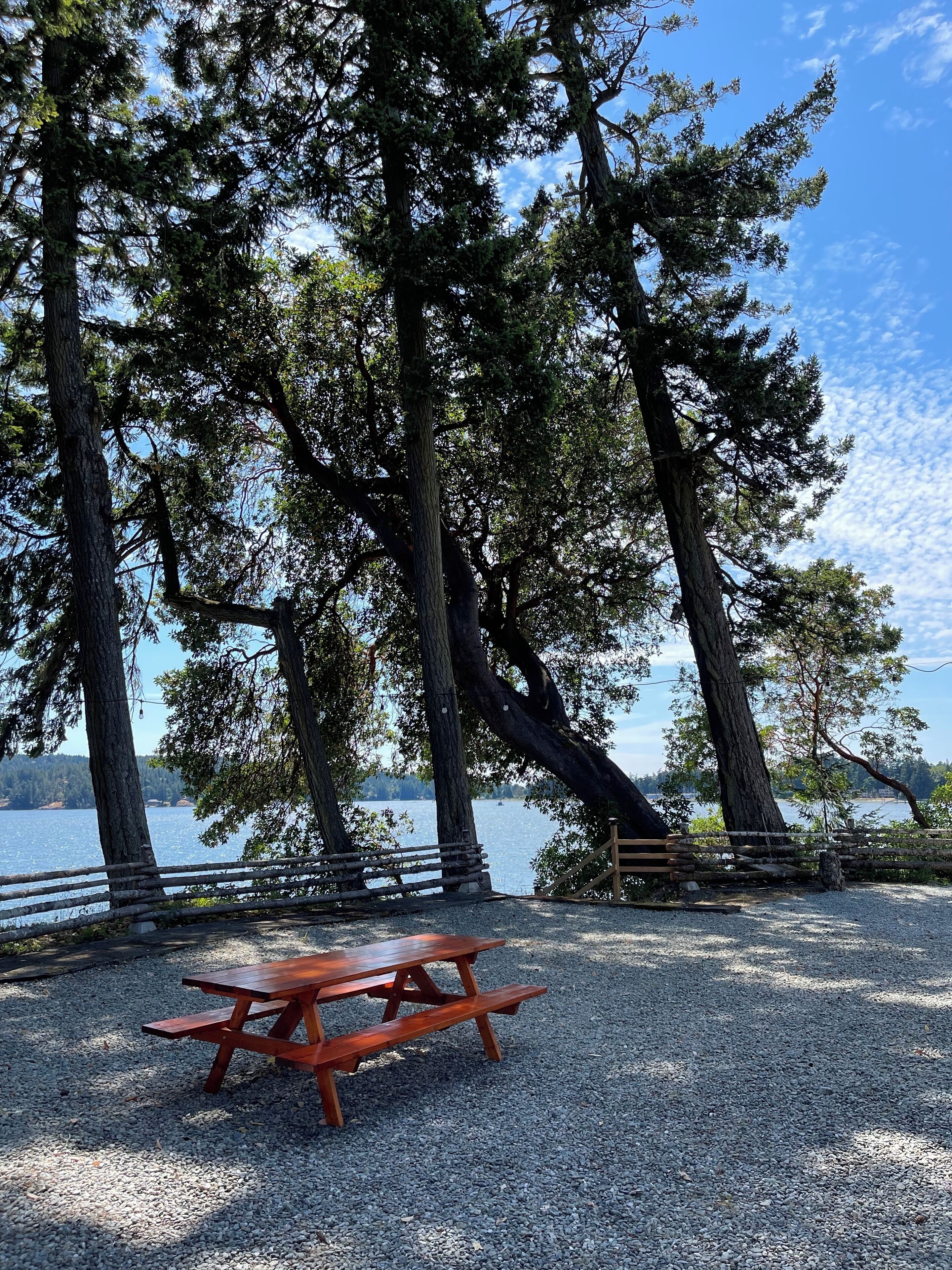 Une table de pique-nique en bois, située dans un parc avec des arbres et un lac en arrière-plan.