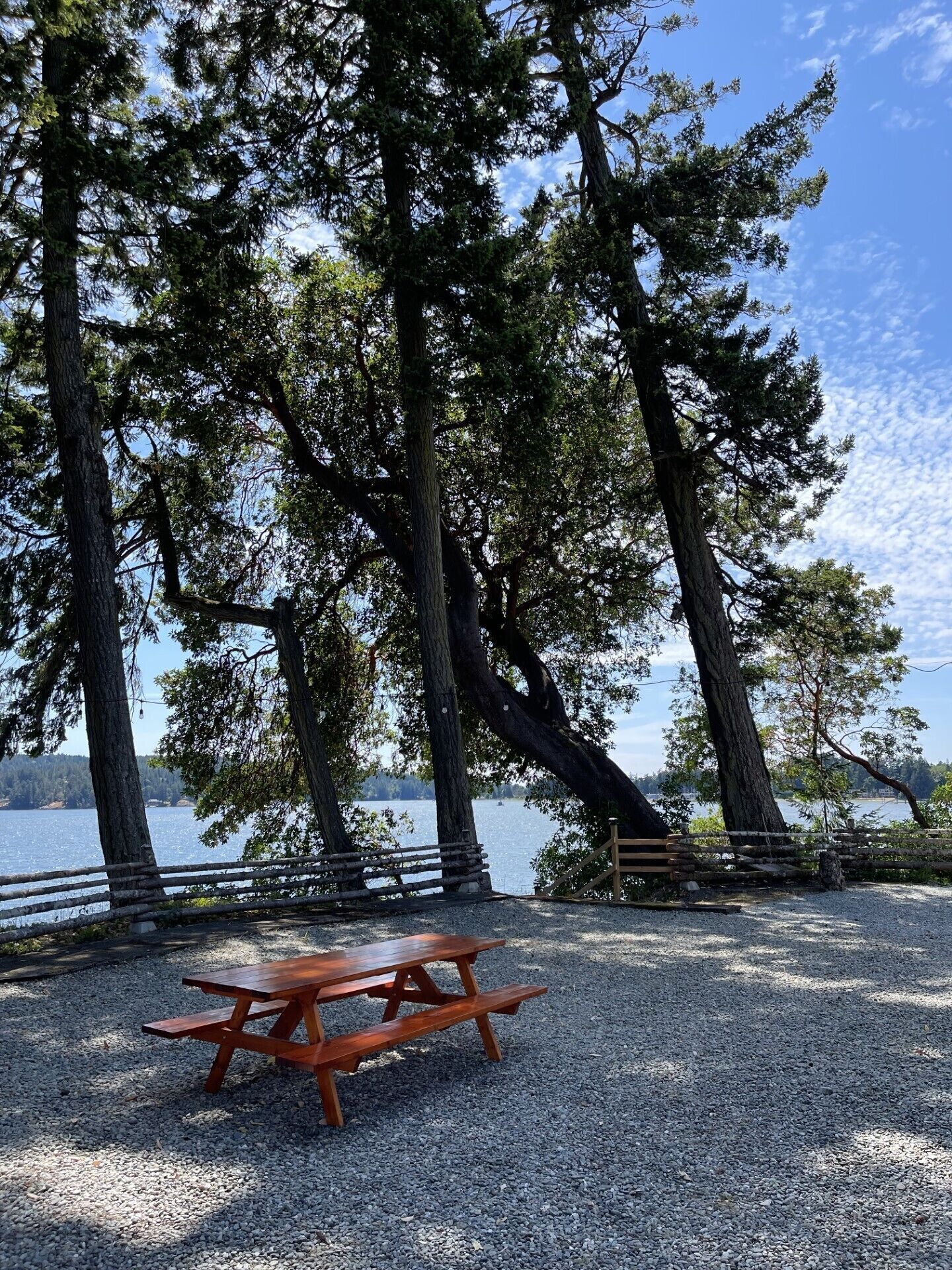 Une table de pique-nique dans un parc, avec vue sur un lac, entourée de grands arbres.