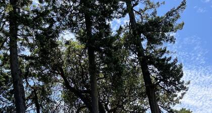 Cottage 5 with Waterfront and Beach Access