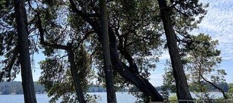 Two Waterfront Cottages with Beach Access - Sleeps 6