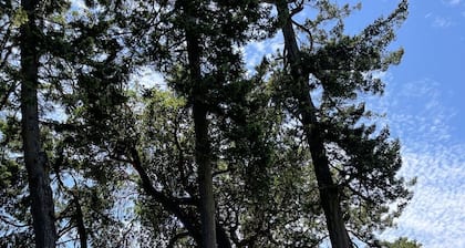 Cottage 5& with Waterfront and Beach Access