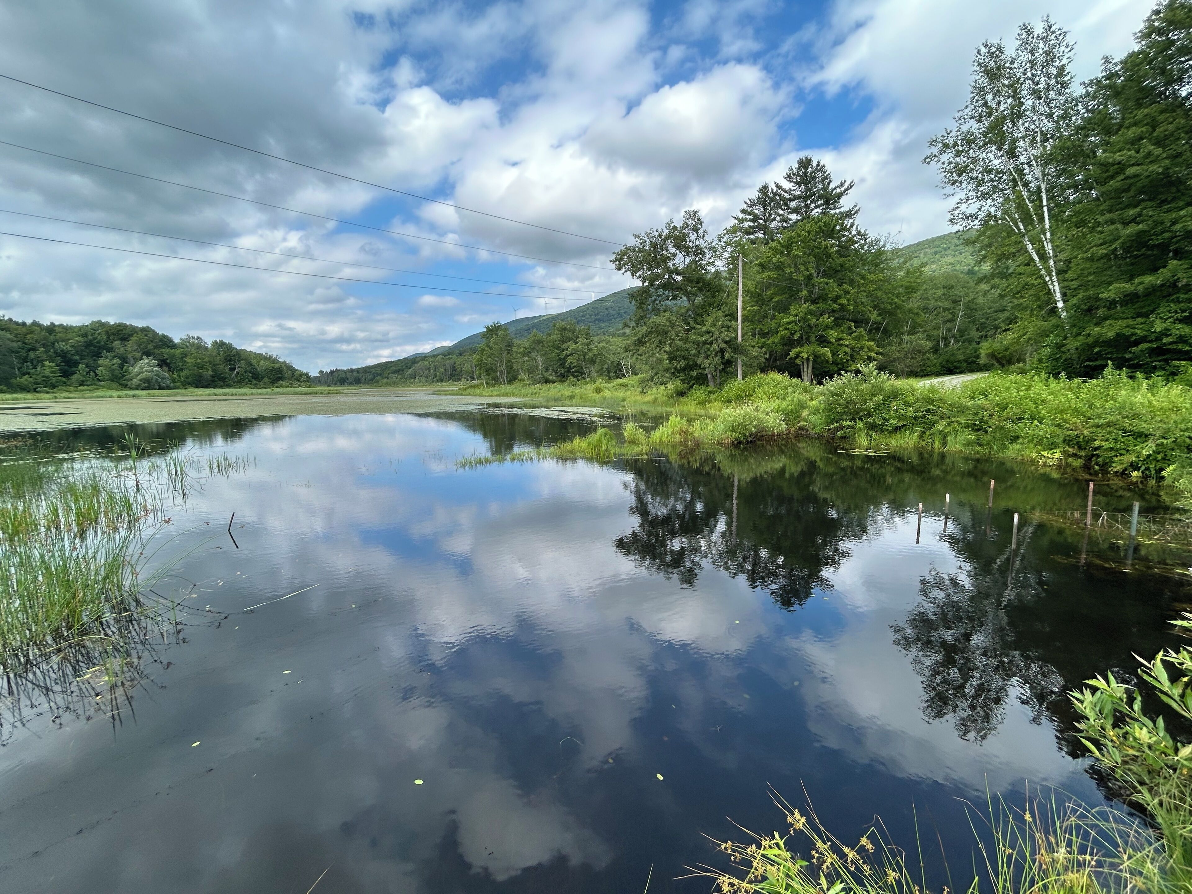 A calm river with reflections of trees and a cloudy sky.