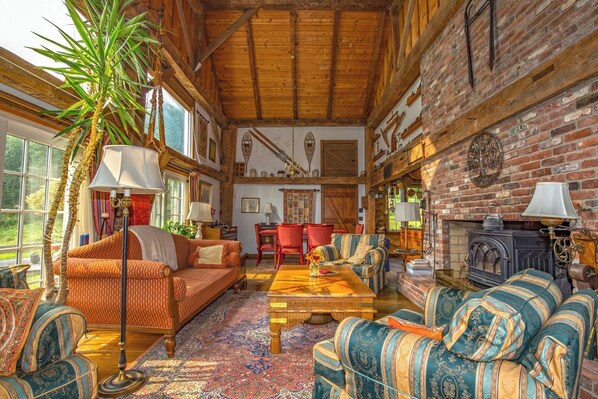 Smart TV, chimenea, reproductor de DVD y libros 