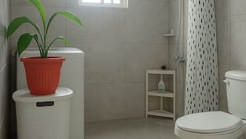 Regadera, toallas, jabón, papel de baño
