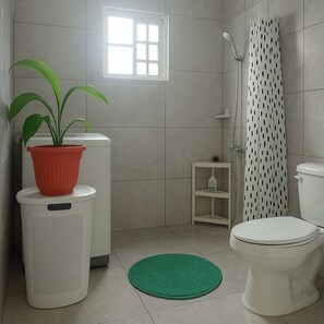 Shower, towels, soap, toilet paper