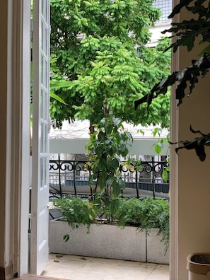 Deluxe Double Room, City View | Terrace/patio