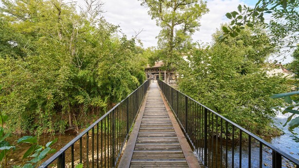 A wooden bridge with metal railings leading to a building surrounded by dense greenery.