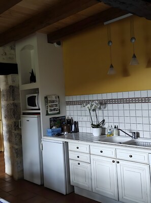 Kühlschrank, Mikrowelle, Ofen, Herdplatte