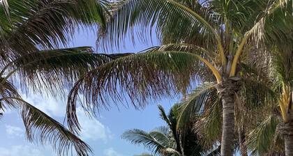 Charming 2-bedroom condo at the spectacular Coconut Beach Resort Nov 15-22-2025