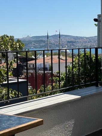 华丽公寓式客房 | 露台