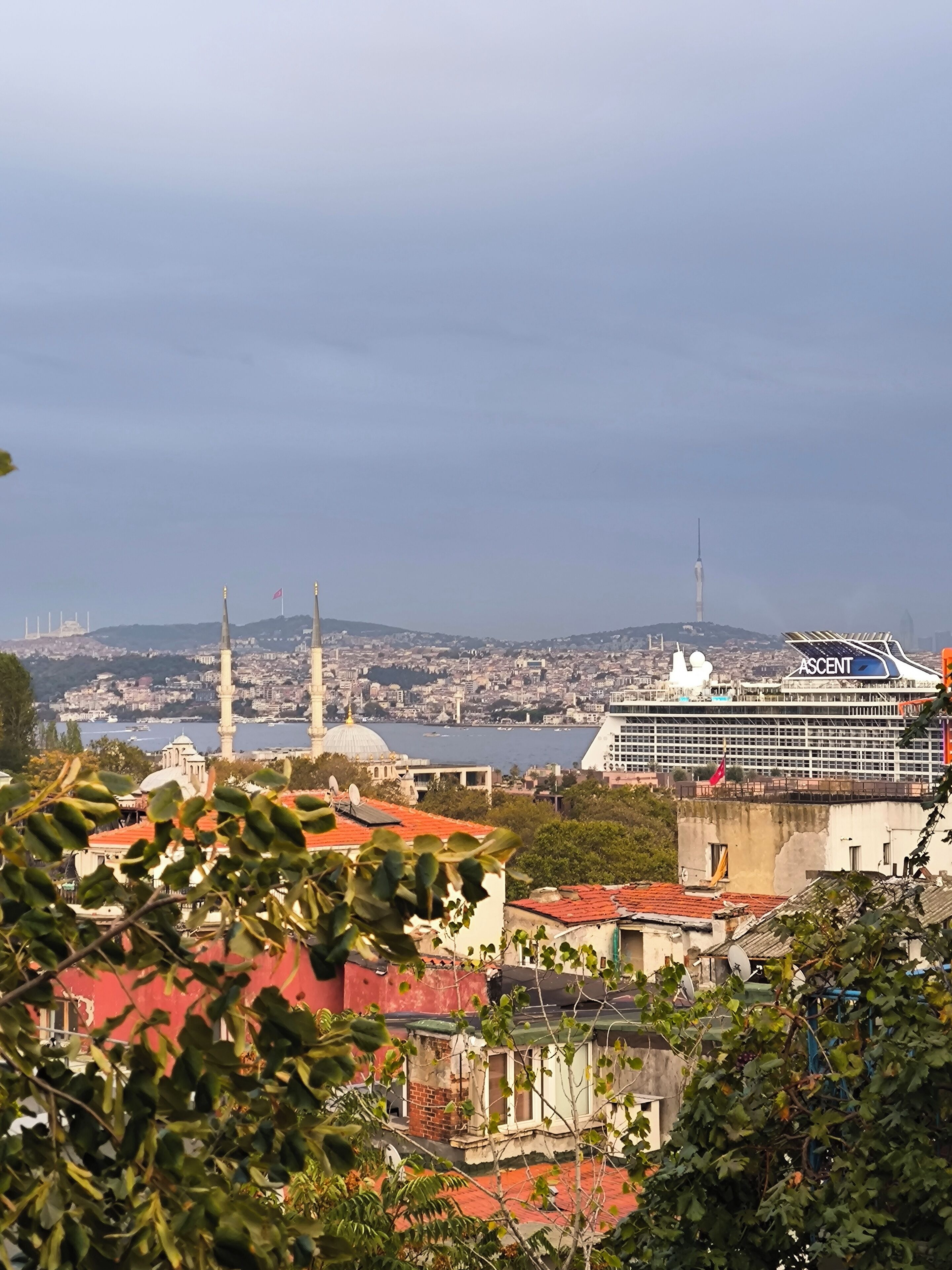 A cruise ship docked near a cityscape with historical buildings and a mosque.