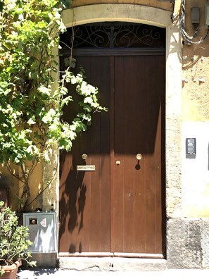 A large wooden door with a sign, a potted plant, and a utility box.