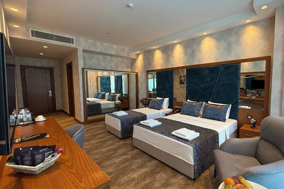 Habitación de hotel con dos camas, un escritorio, una silla, un espejo y un televisor.