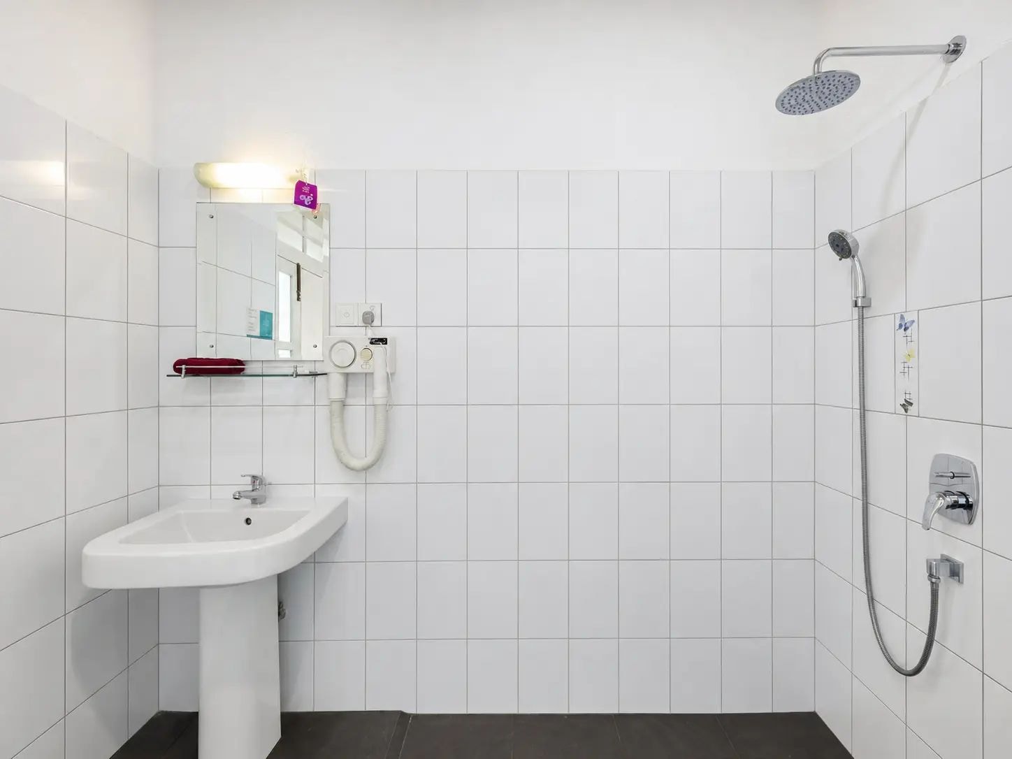 A bathroom with a white sink, a mirror, a handheld showerhead, and a handheld shower attachment.