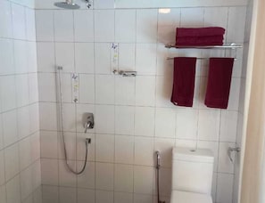 Chuveiro, secador de cabelo, toalhas de banho, papel higiênico