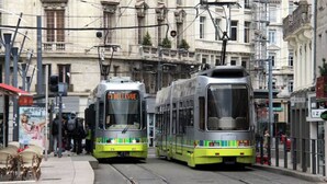 Two trams on a street with buildings in the background. - Super apartment with free parking (Saint-Étienne)