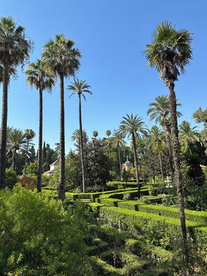 Jardines del alojamiento