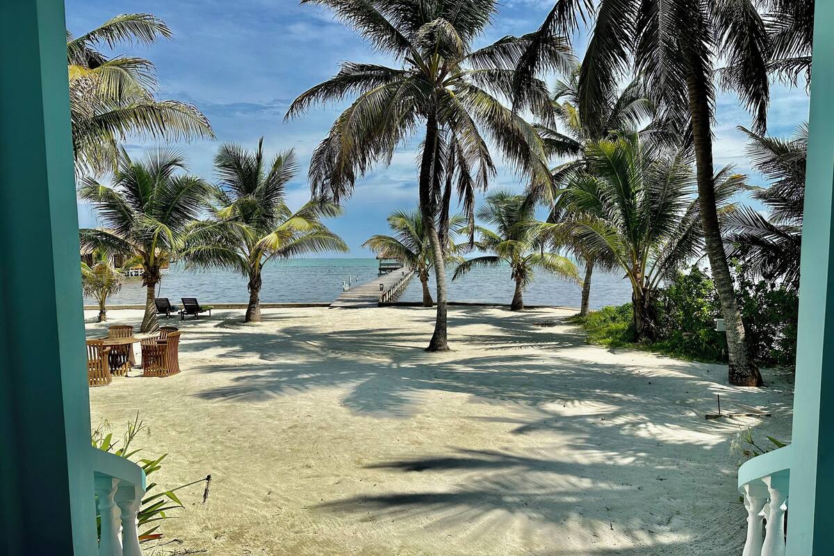 A beach view with palm trees, a sandy area, and a pier extending into the water.