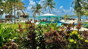 A resort pool area with palm trees, lounge chairs, and a thatched-roof building. - Sunset Beach Resort (San Pedro)