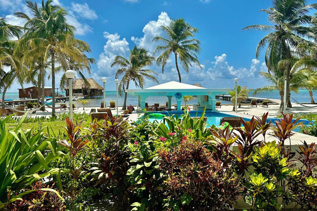 A resort pool area with palm trees, lounge chairs, and a thatched-roof building.