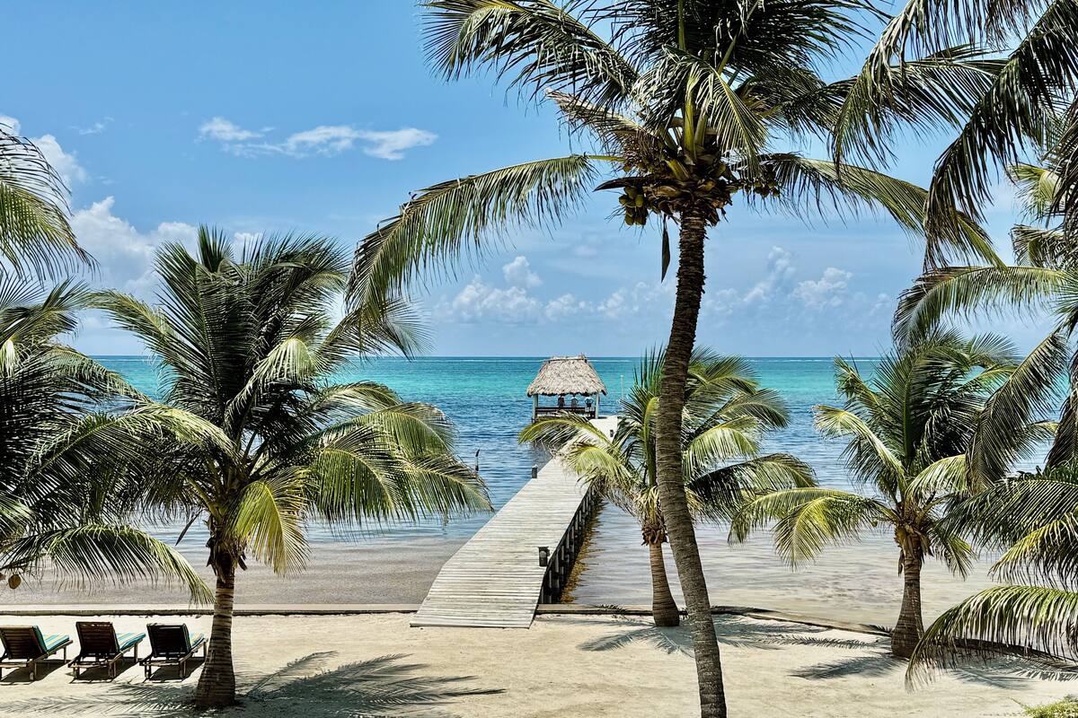 A beach with palm trees, a wooden pier, and a thatched-roof hut.