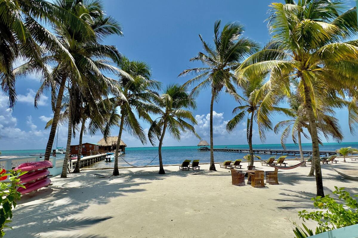 A beach with palm trees, lounge chairs, and a thatched-roof structure.