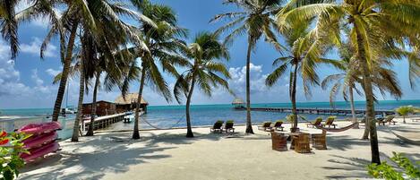 Luxury Condo, Air conditioning, Beach View