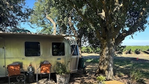 A camper parked beside a large tree, with a picnic table and two chairs in front.