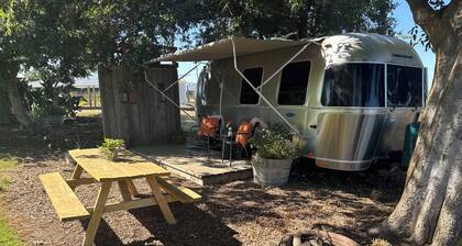 Airstream Experience at Vineyard on Grand Island