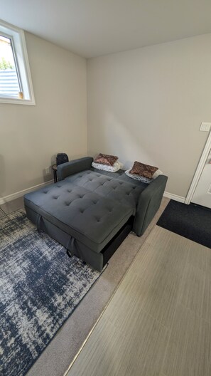 Interior - Spacious one bedroom Basement Apartment (Belleville)