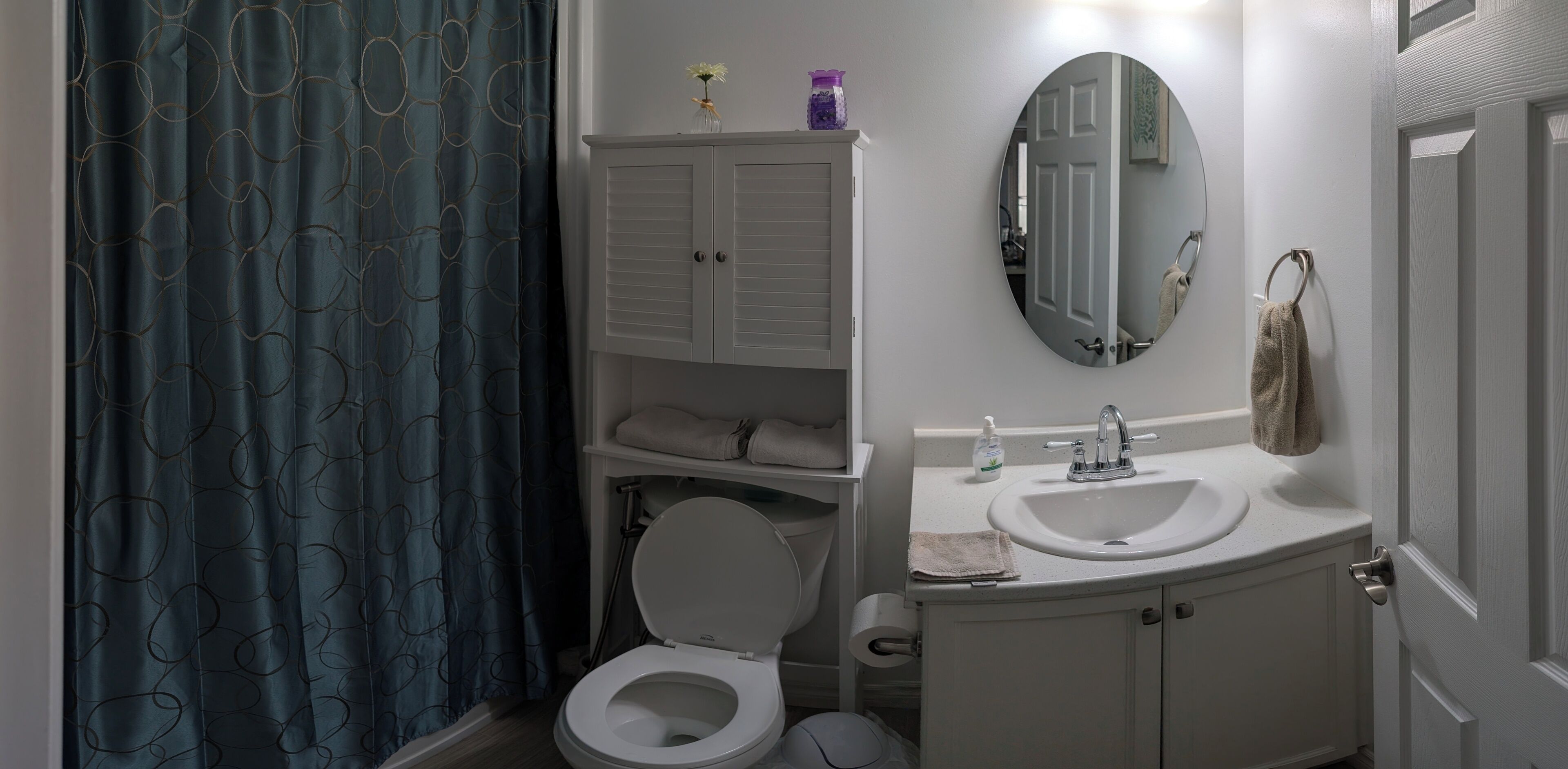 Hair dryer, bidet, towels, soap