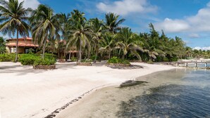 A beachfront property with a sandy beach, palm trees, and a clear blue sky.