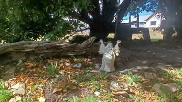 A tree with a large trunk and dense foliage, surrounded by rocks and dry leaves.