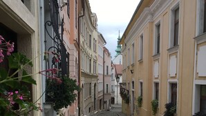 Calle adoquinada bordeada por edificios históricos con balcones y macetas con flores.