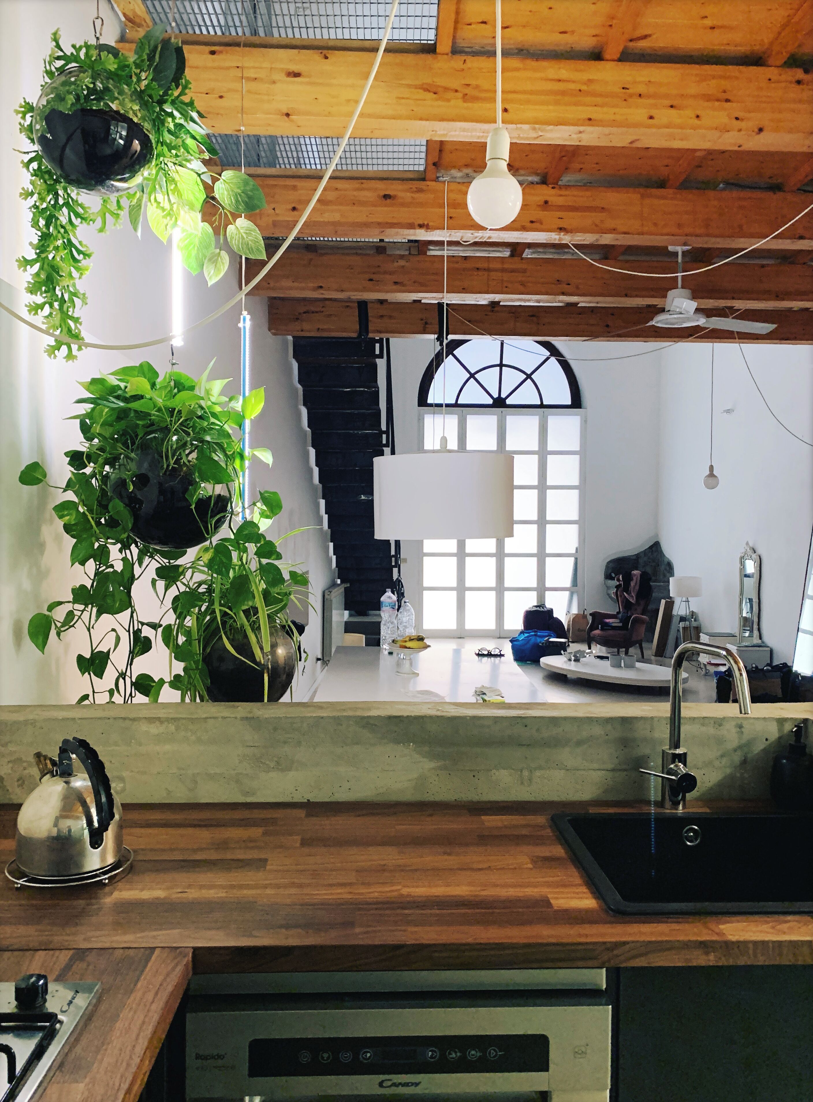 Microwave, stovetop, dishwasher