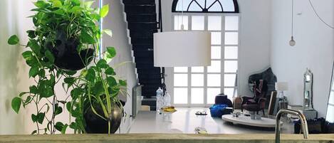 Microwave, stovetop, dishwasher