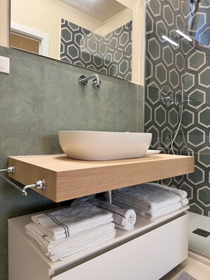 Shower, hair dryer, bidet, towels