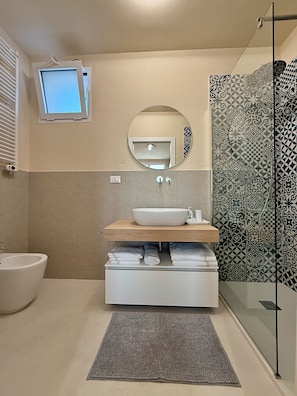 Shower, hair dryer, bidet, towels