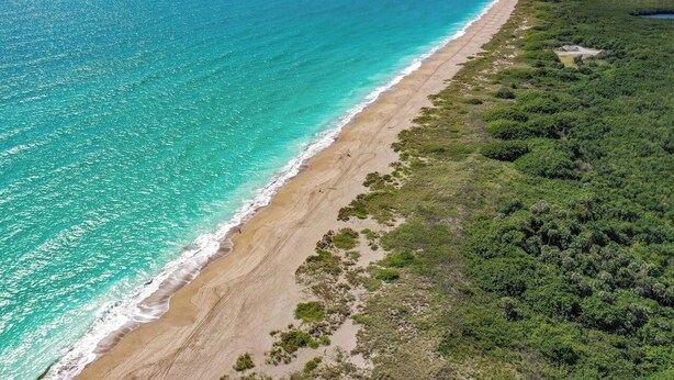 Playa