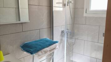 A modern bathroom with a glass-enclosed shower, a white sink, and a mirror.